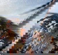 Melbourne and Port Phillip Bay Helicopter Tour - Queensland Tourism