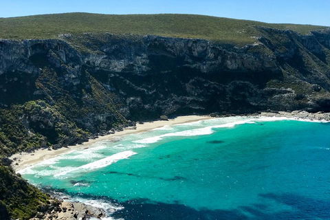 Kangaroo Island Scenic Trail Tour - QLD Tourism 4