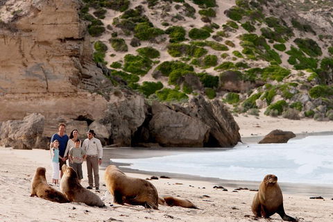Kangaroo Island Scenic Trail Tour - QLD Tourism 5
