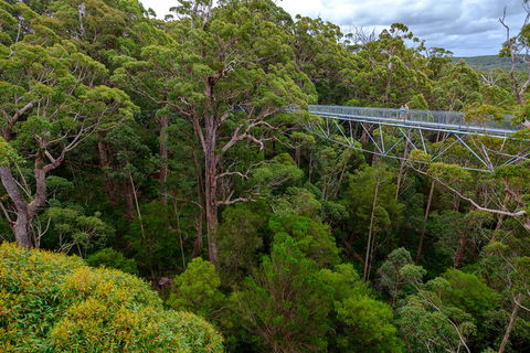 4 Day Tour: Albany, Margaret River, Valley Of The Giants TreeTop Walk From Perth - Queensland Tourism 4