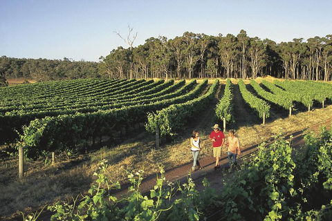 Margaret River, Caves, Wine And Cape Leeuwin Lighthouse Tour From Perth - QLD Tourism 1