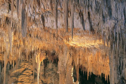 Margaret River, Caves, Wine And Cape Leeuwin Lighthouse Tour From Perth - QLD Tourism 3