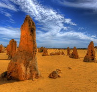 Pinnacles Desert  New Norcia Day Tour from Perth - QLD Tourism