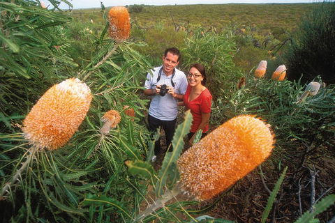 Best Of Perth Wildflower Season Day Trip - QLD Tourism 0