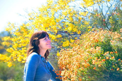 Best Of Perth Wildflower Season Day Trip - QLD Tourism 2
