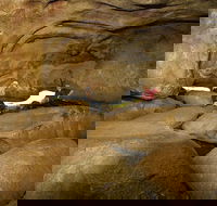 2-Day Wave Rock York Wildflowers  Aboriginal Experience - QLD Tourism