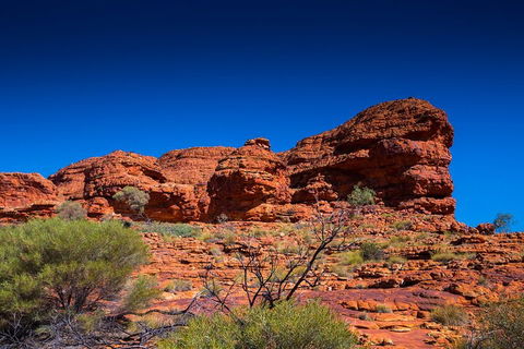 7-Day Guided Tour Of Alice Springs With Accommodation Included - QLD Tourism 4