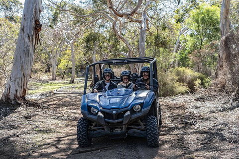 Small-Group Buggy Tour At Little Sahara With Guide - QLD Tourism 0