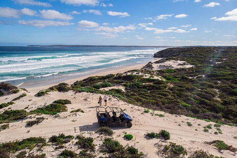 Small-Group Buggy Tour At Little Sahara With Guide - QLD Tourism 1