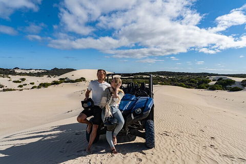 Small-Group Buggy Tour At Little Sahara With Guide - QLD Tourism 2