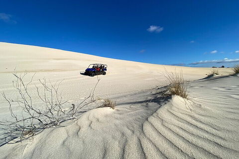 Small-Group Buggy Tour At Little Sahara With Guide - QLD Tourism 3