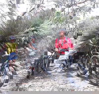2 Hour Bike Tour in Kangaroo Island - QLD Tourism