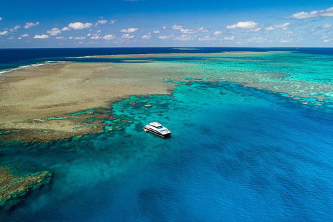 Calypso Outer Great Barrier Reef Cruise From Port Douglas - QLD Tourism 1
