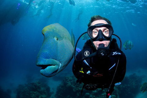 Full Day Reef Cruise Including 10 Minute Heli Scenic Flight: Get High Package - QLD Tourism 1