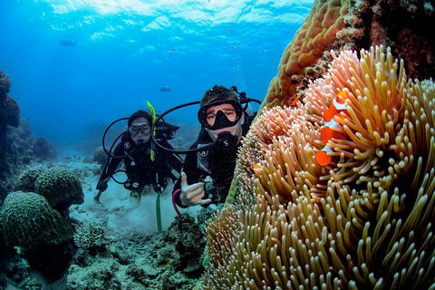 Full Day Reef Cruise Including 10 Minute Heli Scenic Flight: Get High Package - QLD Tourism 5
