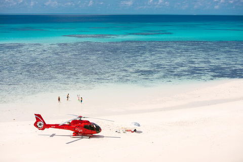 Private Helicopter Tour: Reef Island Snorkeling And Gourmet Picnic Lunch - QLD Tourism 2