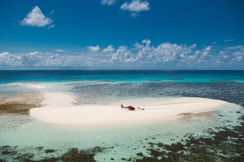 Private Helicopter Tour: Reef Island Snorkeling And Gourmet Picnic Lunch - QLD Tourism 4
