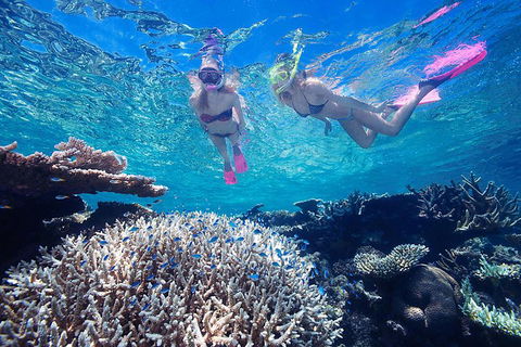 Great Barrier Reef Scenic Helicopter Tour And Cruise From Cairns - QLD Tourism 3