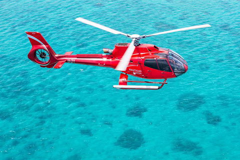 Helicopter And Cruise Packages From Port Douglas - QLD Tourism 5