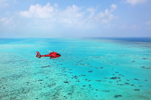 Ultimate Great Barrier Reef And Rainforest 45-minute Helicopter Tour - QLD Tourism 2