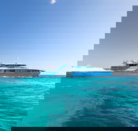 Fremantle to Rottnest Island Roundtrip Ferry Ticket - QLD Tourism