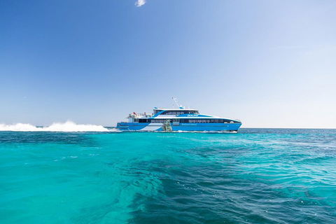 Fremantle To Rottnest Island Roundtrip Ferry Ticket - QLD Tourism 0