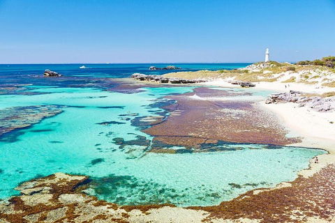 Fremantle To Rottnest Island Roundtrip Ferry Ticket - QLD Tourism 2