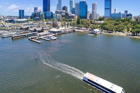 Summer Lunch Cruise - Queensland Tourism 2