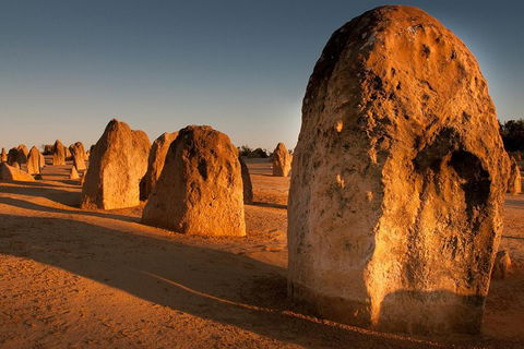 Wave Rock And Pinnacles Air & Ground Tour - QLD Tourism 1