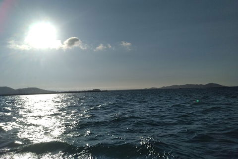 Townsville Small Group Early Morning Sailing Cruise Boat Tour Charter Hire - QLD Tourism 4