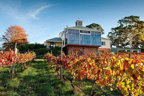 Adelaide Hills Food, Wine, Cheese, & Chocolate - Private Day Tour - QLD Tourism 3