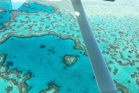 Whitsunday Islands 1-Hour Reef Scenic Helicopter Tour - QLD Tourism 3