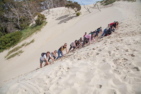 6-Day Tasmanian Explorer Adventure Tour From Hobart - QLD Tourism 2
