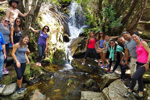 7-Day Super Value Tour Of Tasmania: Explore Tasmania's West And East Coasts - QLD Tourism 2