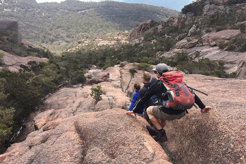 2-Day Tas East Coast Escape Tour Including Bay Of Fires, Wineglass Bay & Devils - QLD Tourism 2