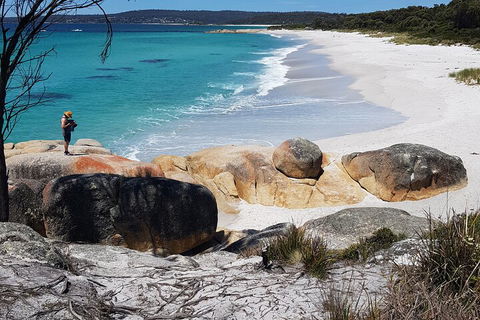 2-Day Tas East Coast Escape Tour Including Bay Of Fires, Wineglass Bay & Devils - QLD Tourism 4
