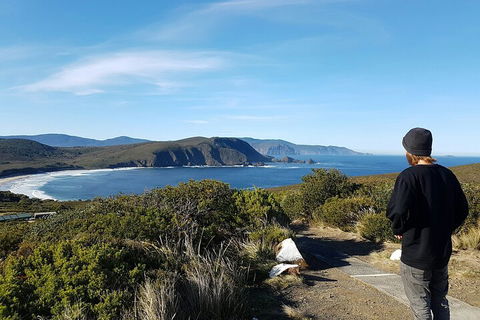 4-Day Fabulous Tasmania Tour: Wineglass Bay, Port Arthur, Devils & Bruny Island - QLD Tourism 0