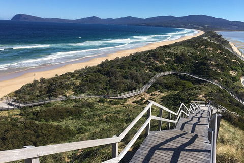 4-Day Fabulous Tasmania Tour: Wineglass Bay, Port Arthur, Devils & Bruny Island - QLD Tourism 5
