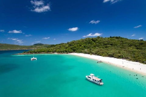 Whitehaven Beach And Hill Inlet | Awesome Beach BBQ | Family Friendly - QLD Tourism 3