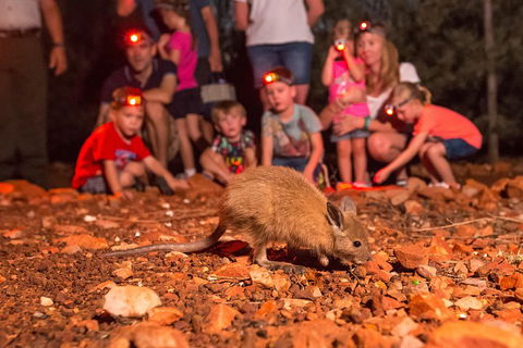 Alice Springs Desert Park Nocturnal Tour - QLD Tourism 1