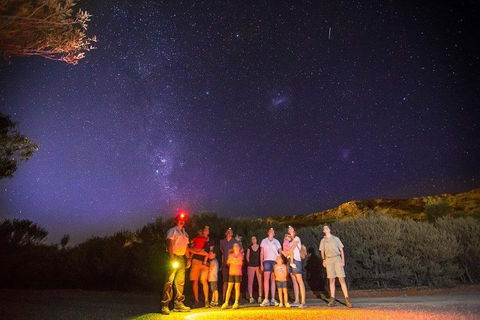 Alice Springs Desert Park Nocturnal Tour - QLD Tourism 2