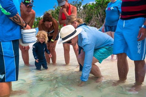 Whitehaven Beach And Hamilton Island Cruise - QLD Tourism 1