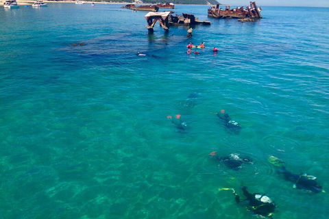 Adventure Moreton Island Scuba Dive Tour - Queensland Tourism 0