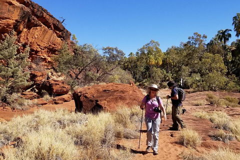 Palm Valley And Hermannsburg 1 Day 4WD Tour - QLD Tourism 1