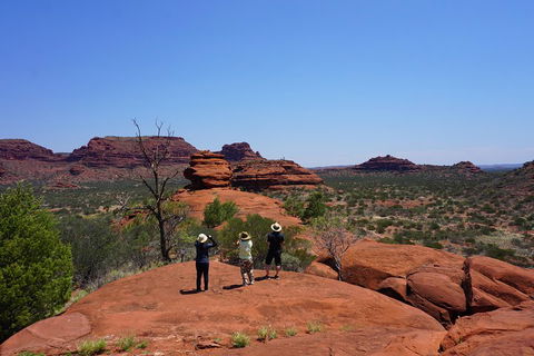Palm Valley And Hermannsburg 1 Day 4WD Tour - QLD Tourism 2
