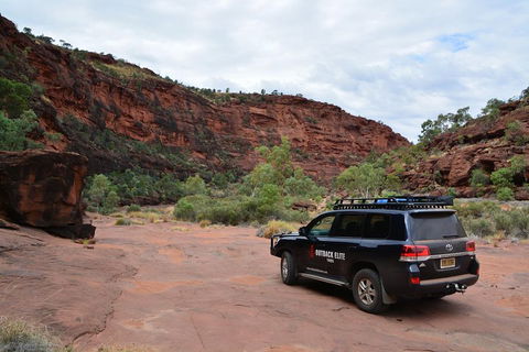 Palm Valley And Hermannsburg 1 Day 4WD Tour - QLD Tourism 5