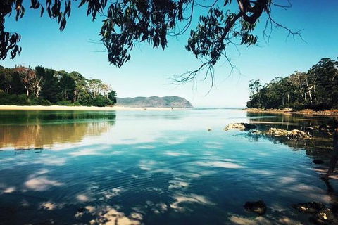 Full-Day Guided Bruny Island Tour From Hobart - QLD Tourism 1