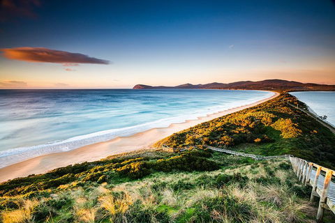 Full-Day Guided Bruny Island Tour From Hobart - QLD Tourism 2