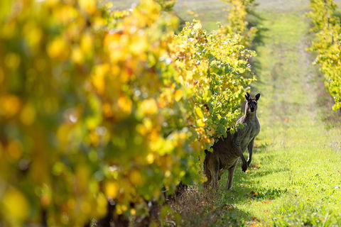 Margaret River 3 Day Escape - Queensland Tourism 4