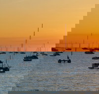 Darwin Hop-on Hop-off Bus Tour - QLD Tourism